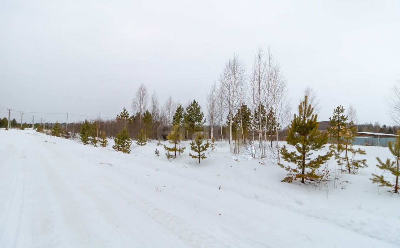 земля р-н Нижнетавдинский д Московка Тюмень фото 3