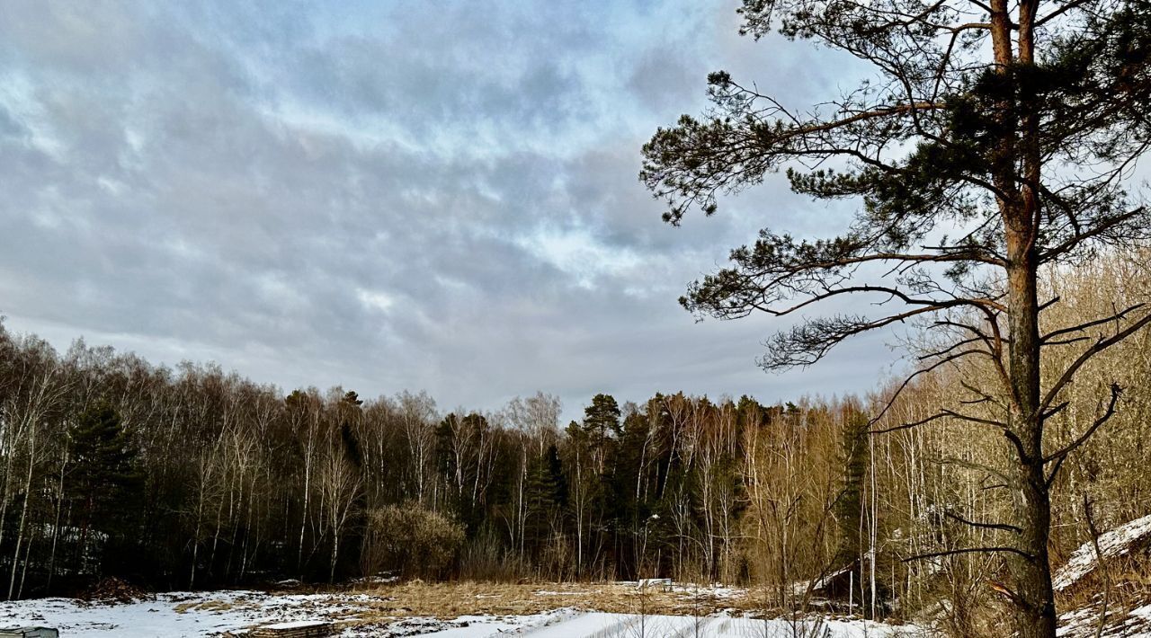 земля городской округ Истра д Аносино Нахабино фото 1