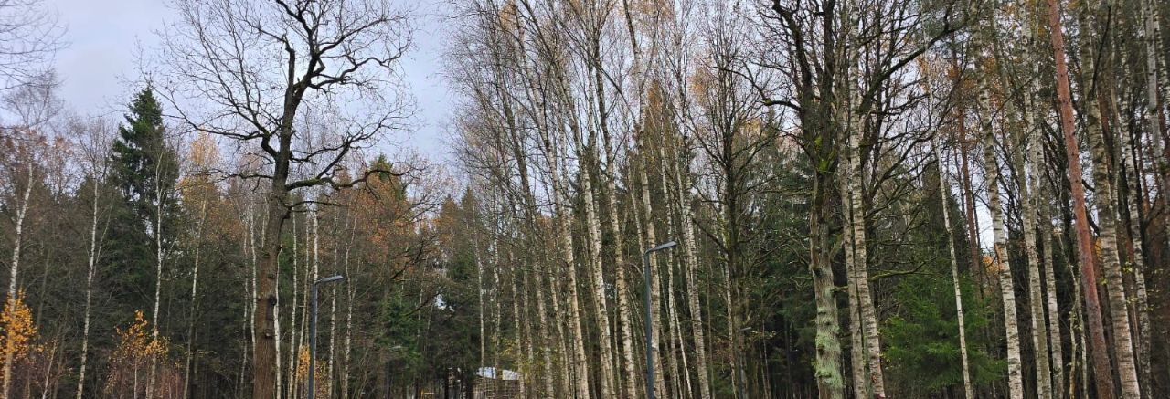 квартира городской округ Наро-Фоминский г Апрелевка аллея Цветочная 9 Апрелевка фото 31