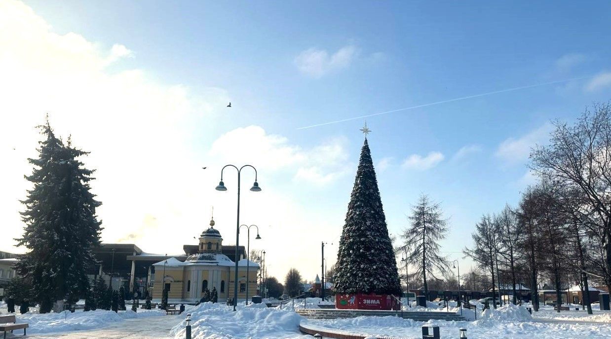 дом г Бронницы ул Светлая 9 фото 37