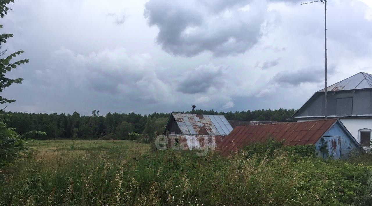 земля р-н Добровский с Борисовка ул Советская 25 фото 4