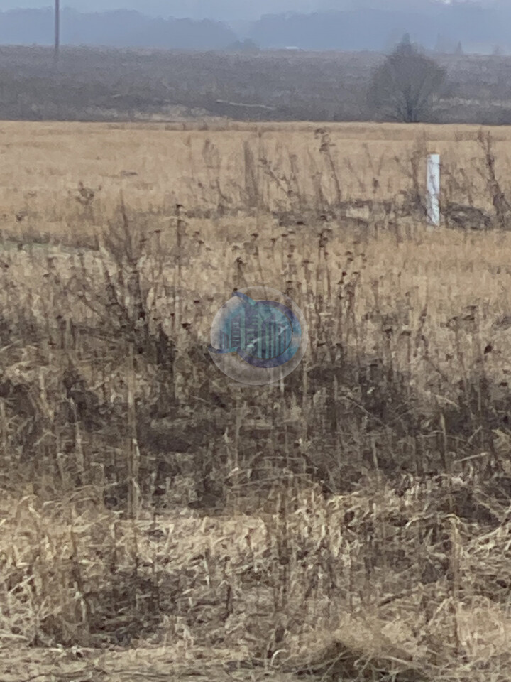 земля городской округ Серпухов д Глебово Симферопольское шоссе фото 2