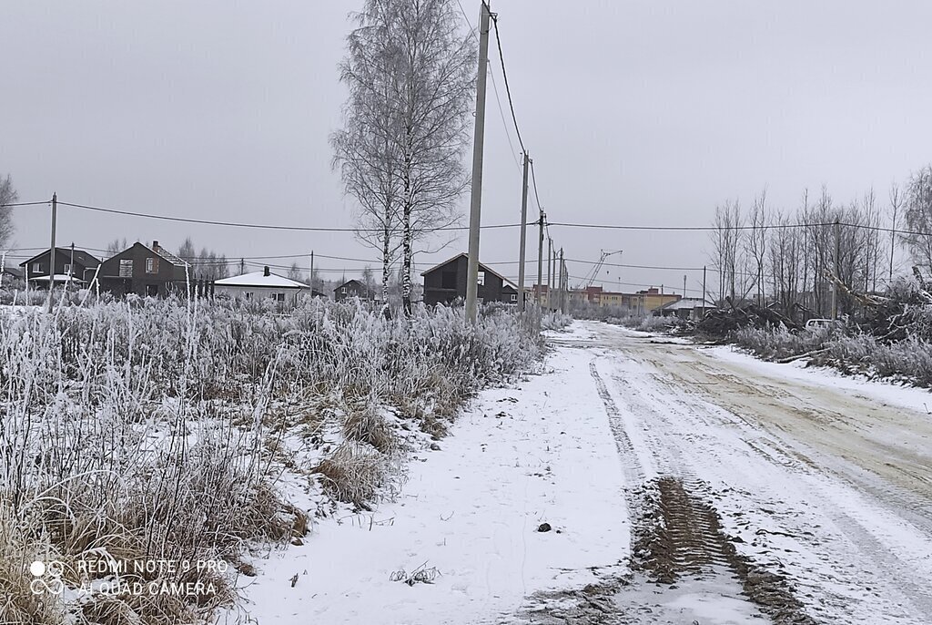 земля р-н Ярославский д Ермолово фото 3