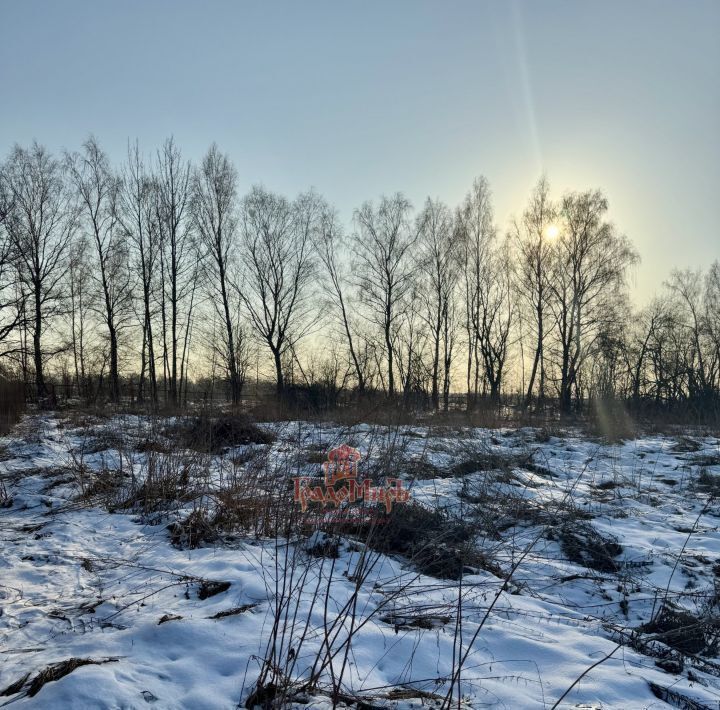 земля городской округ Дмитровский Дмитроград садовые участки фото 4