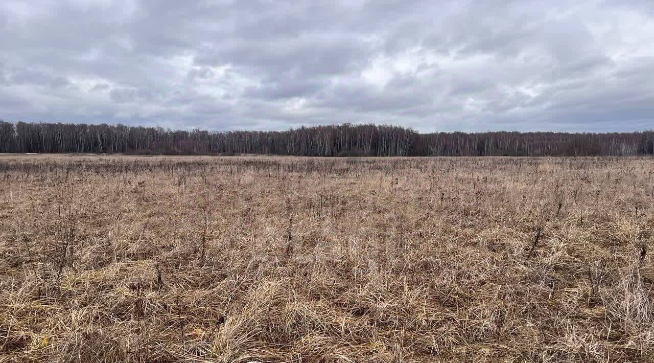 земля городской округ Ступино д Заворыкино ул Луговая фото 4