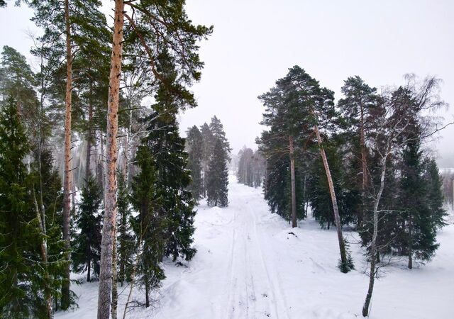 28 км, коттеджный пос. Литвиново Вилладж, Фрязино, Фряновское шоссе фото