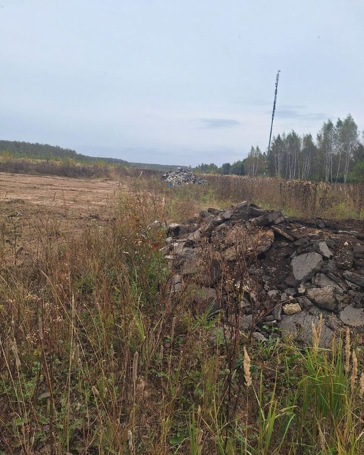 земля городской округ Раменский д Булгаково 58 км, Мещерино, Новорязанское шоссе фото 2