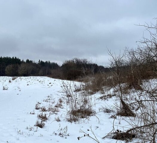 с Паниковец ул Придорожная 10 Каменский сельсовет, Задонск фото