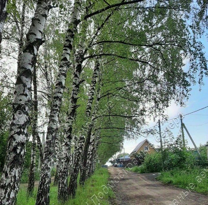 земля городской округ Ленинский ДНТ, Зябликово, 131, Ленинский городской округ, Рассвет фото 1