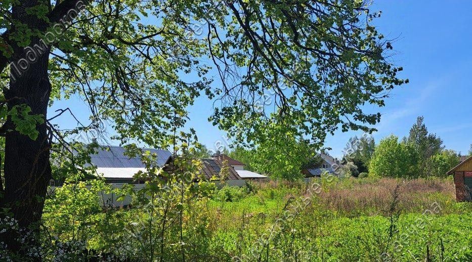 земля городской округ Истра д Аносино Нахабино фото 4