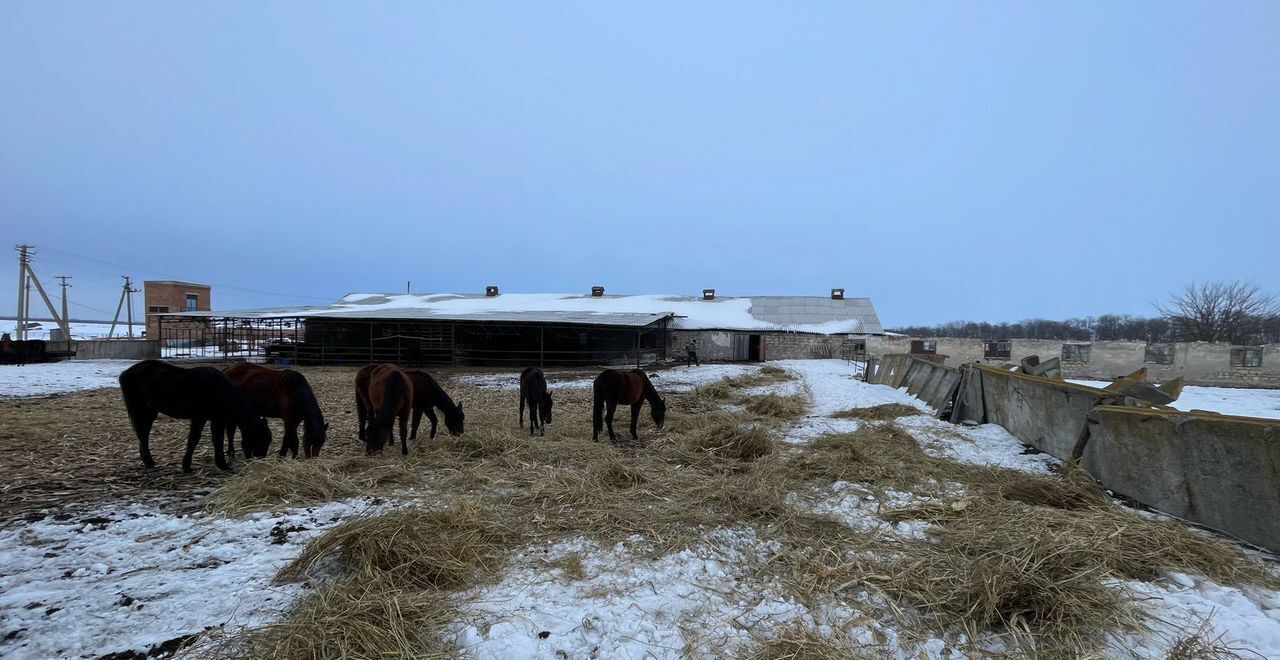 земля р-н Прикубанский с Привольное ул Космонавтов Черкесск фото 4