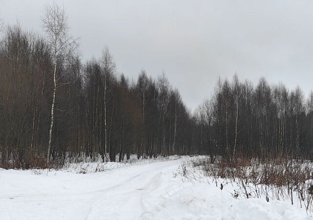 земля д Турицино ул Запрудная 30 47 км, Солнечногорск, Пятницкое шоссе фото