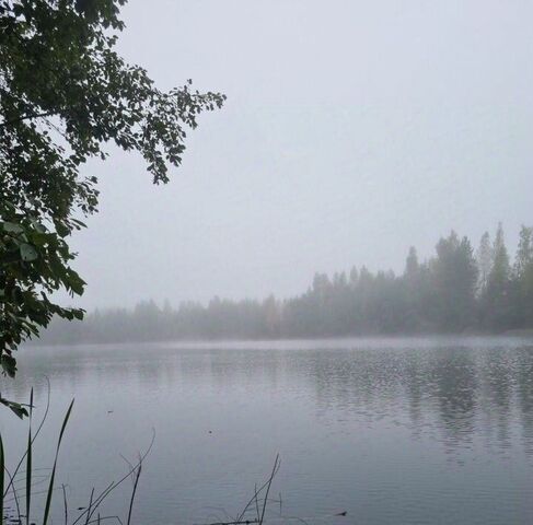 д Березовка ул 6-я Западная Мгинское городское поселение фото