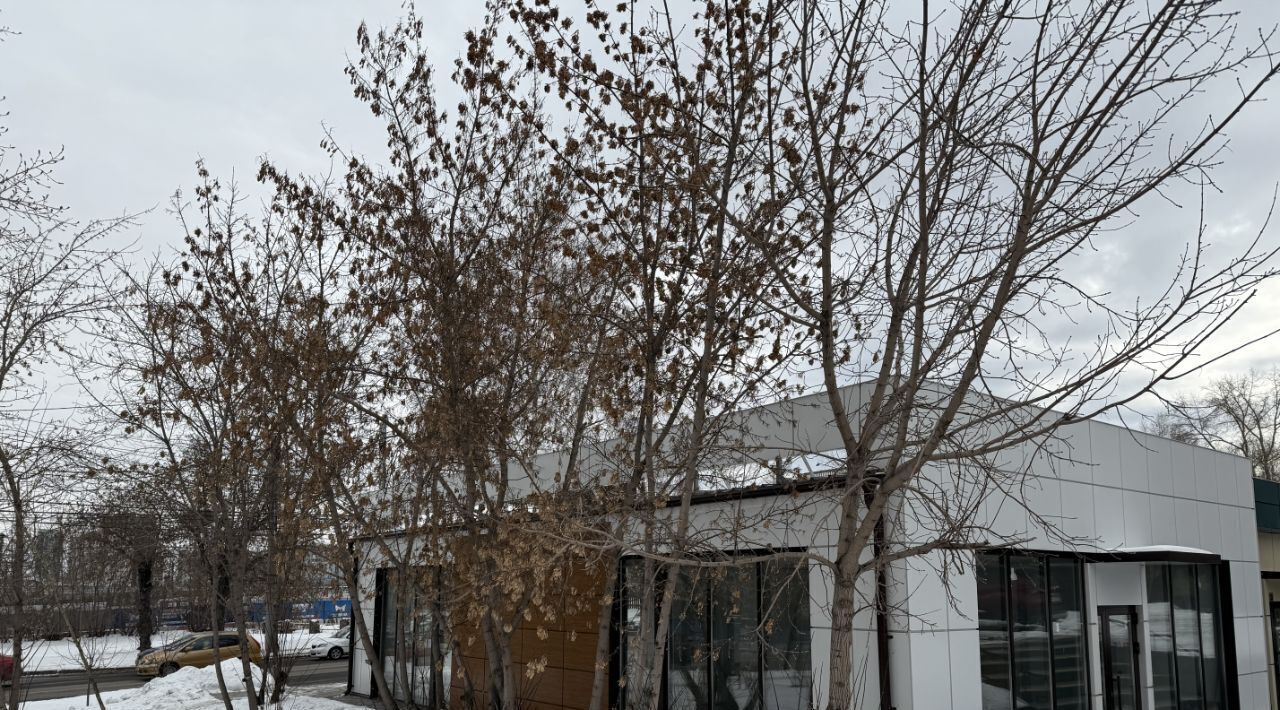 торговое помещение г Красноярск р-н Октябрьский ул Академика Киренского 55 фото 8