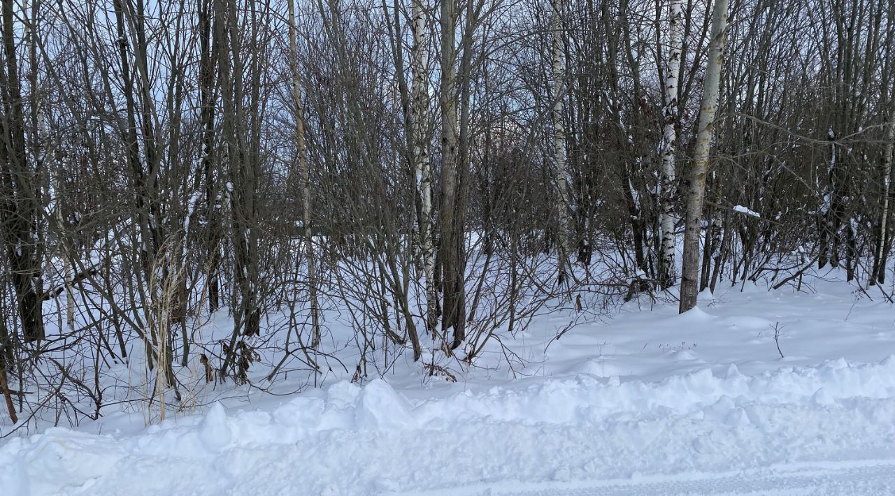 земля городской округ Клин с Борщево фото 4