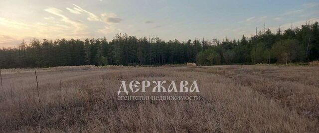 земля Старооскольский городской округ фото