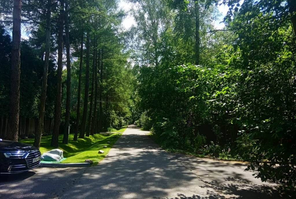 земля городской округ Одинцовский д Барвиха Сетунь, ДПК Новь, 2-я линия фото 1