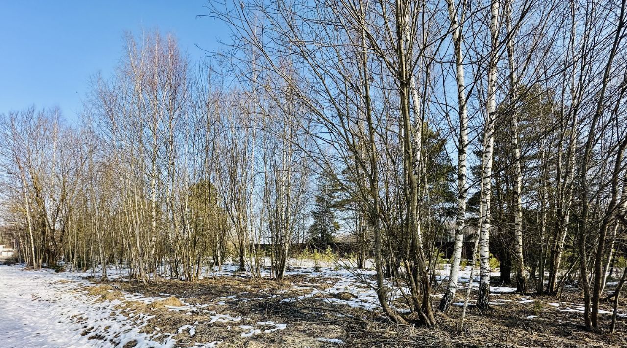 земля городской округ Солнечногорск д Середниково Зеленоград — Крюково, Химки городской округ, д. Благовещенка фото 4