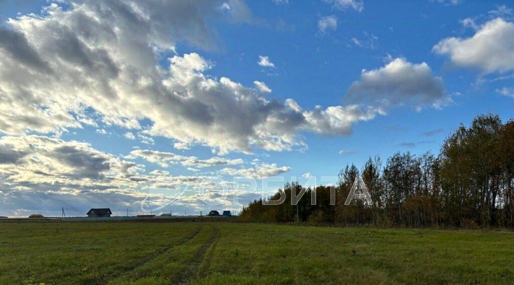 земля р-н Тюменский с Луговое ул Плодовая фото 4