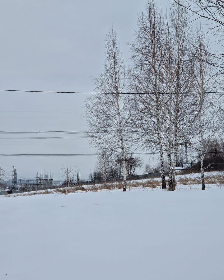 земля р-н Емельяновский снт Нанжуль-3 1229, Красноярск, городское поселение Емельяново фото 1