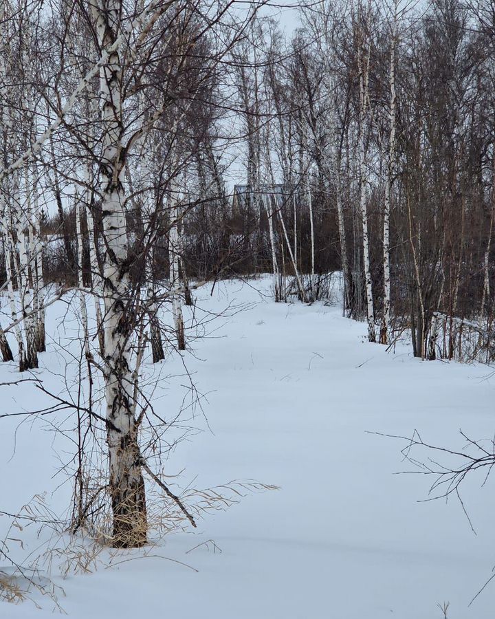 земля р-н Емельяновский снт Нанжуль-3 1229, Красноярск, городское поселение Емельяново фото 3