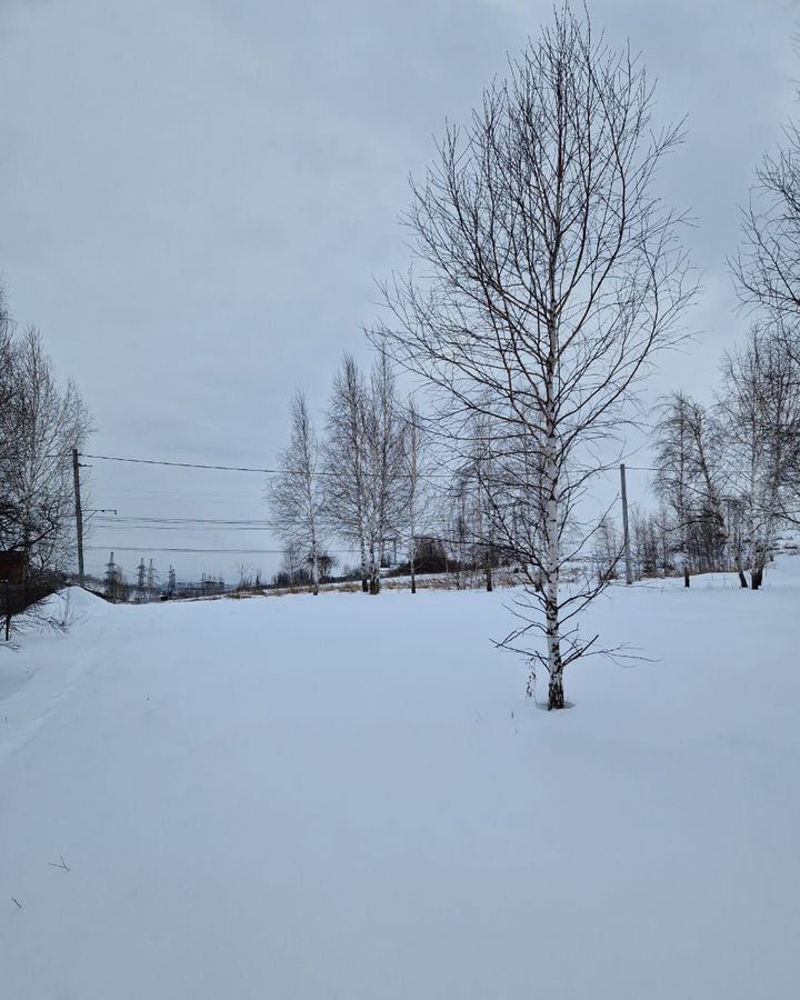 земля р-н Емельяновский снт Нанжуль-3 1229, Красноярск, городское поселение Емельяново фото 10