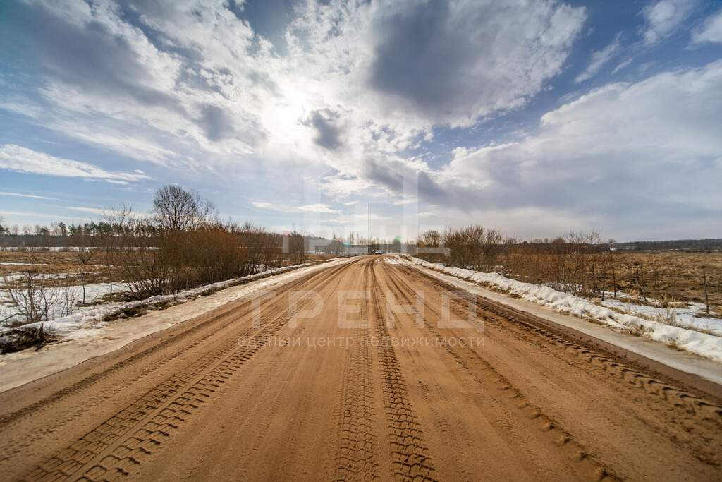 земля р-н Тосненский д Черемная Гора ул Центральная фото 6