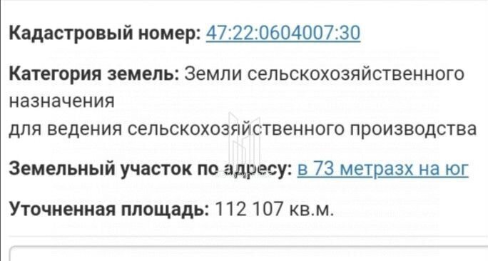 земля р-н Волосовский д Горки Таллинское шоссе, 33 км, Клопицкое сельское поселение, 30, Жабино фото 6