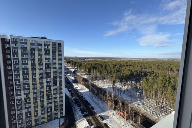 р-н Железнодорожный Воронеж городской округ фото