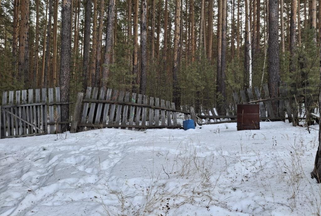 земля р-н Сысертский снт Калинка-1 46 фото 3