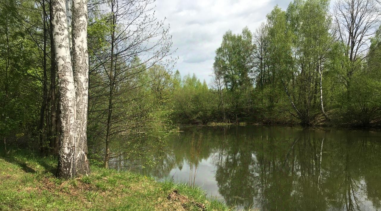 земля р-н Бабынинский д Альшаны Село Бабынино с/пос фото 8