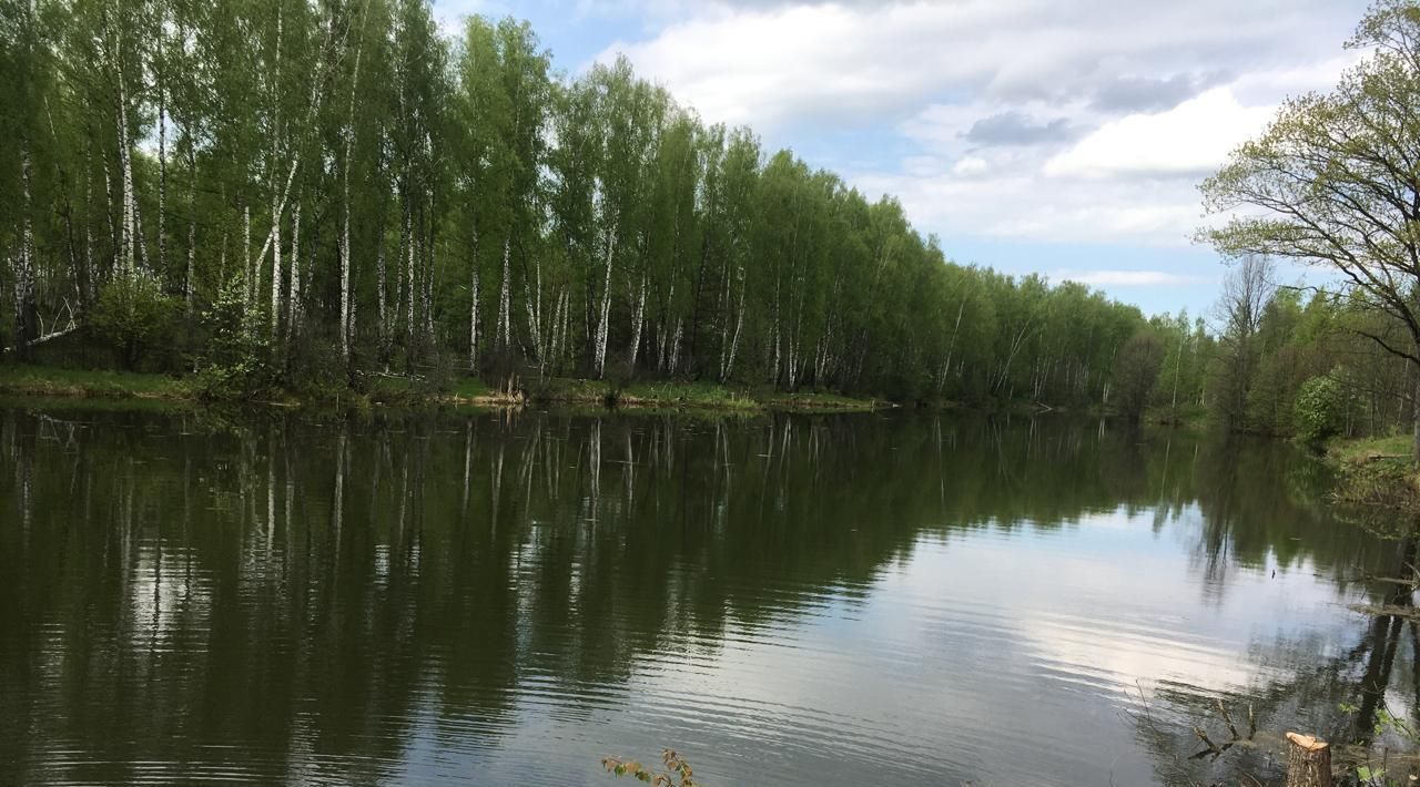 земля р-н Бабынинский д Альшаны Село Бабынино с/пос фото 19