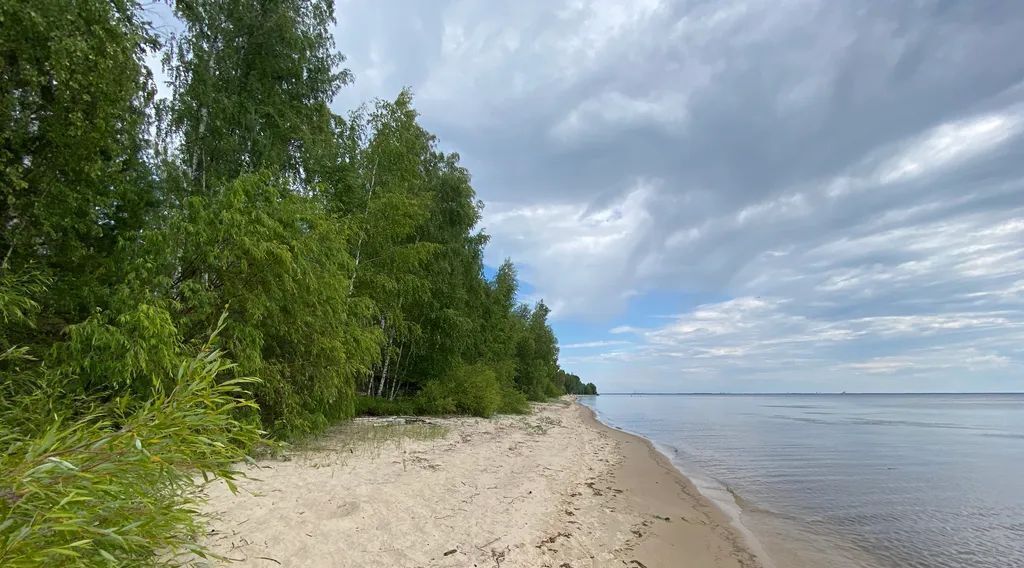 дом р-н Городецкий д. Вашуриха, 64А фото 15