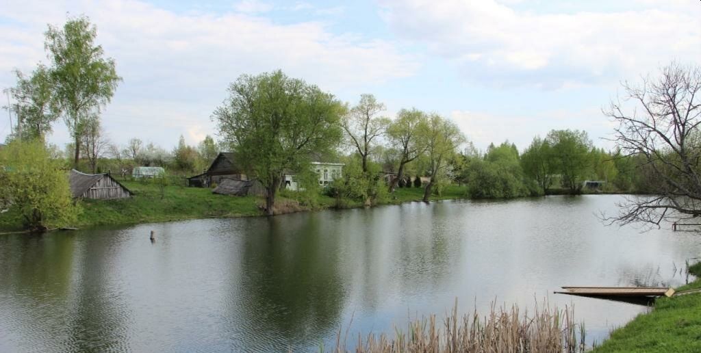 земля р-н Бабынинский с Никольское сельское поселение село Бабынино, Бабынино фото 1