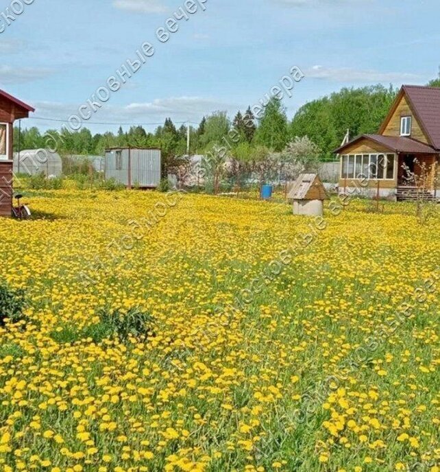 дом городской округ Клин д Щекино ул Дачная 21 фото 6