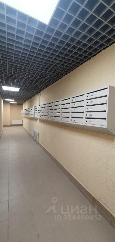 квартира г Москва ЮАО Бирюлево Восточное ул 6-я Радиальная 7/30 микрорайон «Царицыно-2» Московская область фото 13