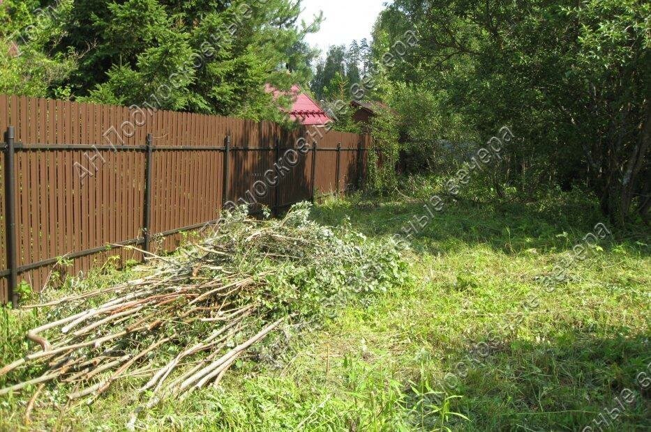 земля городской округ Одинцовский п Криуши снт Чамры 318 фото 4