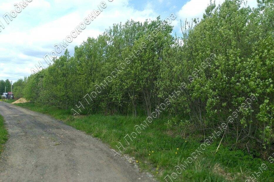 земля городской округ Можайский д Михайловское тер ТСН Изумрудное озеро фото 5