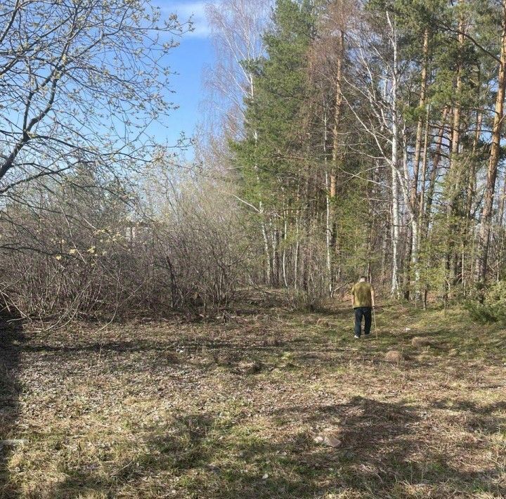 земля г Екатеринбург р-н Верх-Исетский Площадь 1905 года фото 5