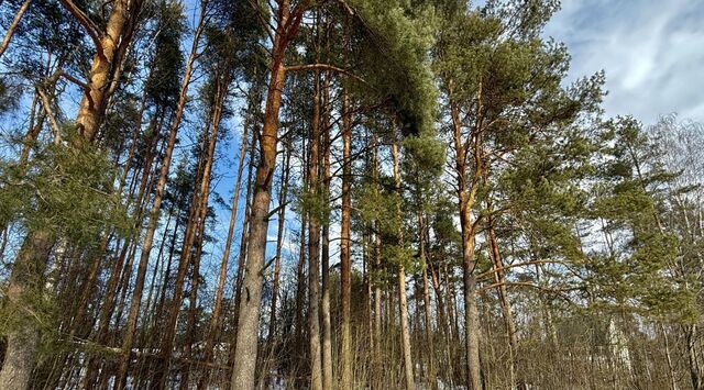 р-н Гатчинский Вырица городской поселок, ул. Бакунина фото