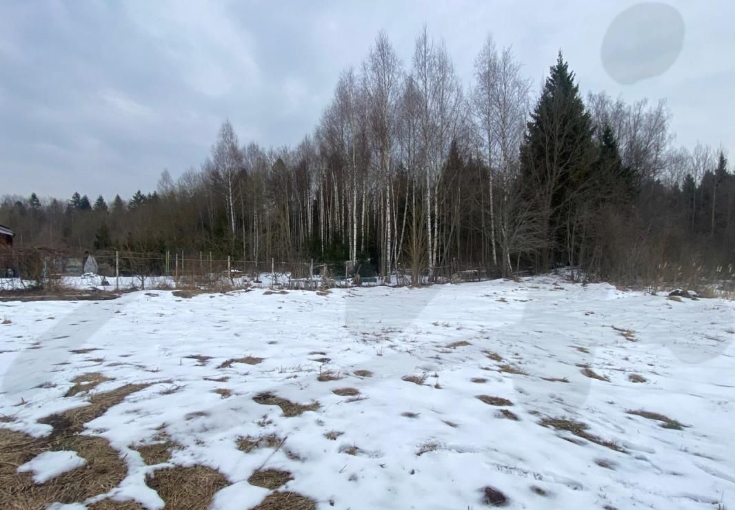 дом городской округ Солнечногорск д Шахматово 56 км, Солнечногорск, Рогачёвское шоссе фото 13