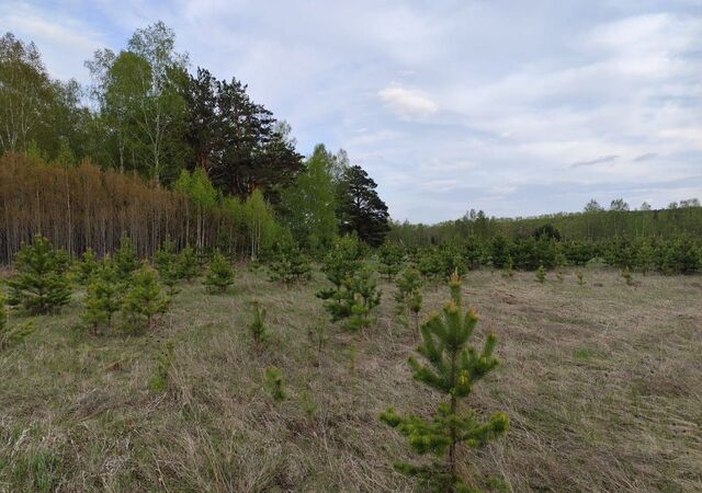 земля Памяти 13 Борцов, городское поселение Емельяново фото