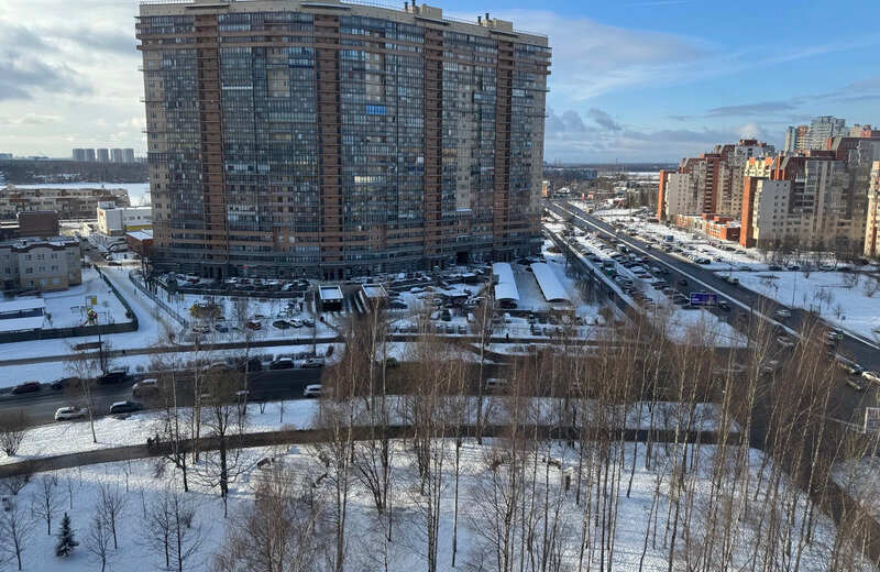 квартира г Санкт-Петербург метро Проспект Просвещения ул Композиторов 19 фото 15