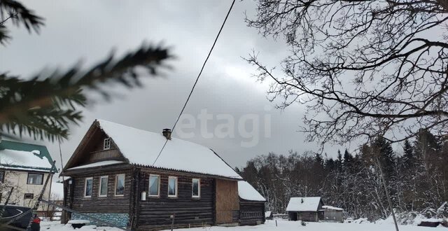 д Клинково ул Центральная 7 Трасса Лодейное Поле — Тихвин, 126 км, Будогощское городское поселение, Будогощь фото