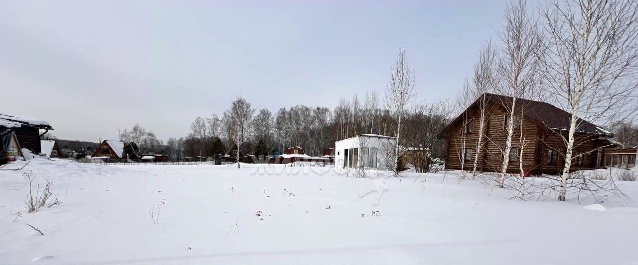 земля р-н Новосибирский с Новокаменка Станционный сельсовет фото 1