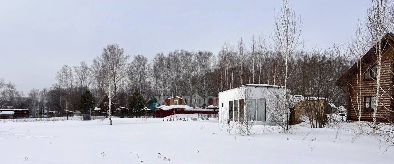 земля р-н Новосибирский с Новокаменка Станционный сельсовет фото 2