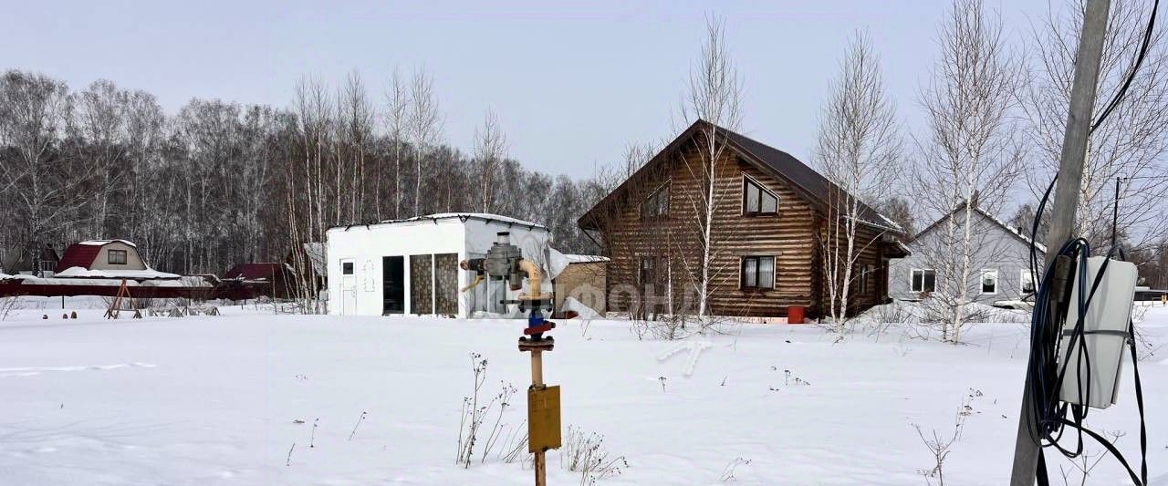 земля р-н Новосибирский с Новокаменка Станционный сельсовет фото 10