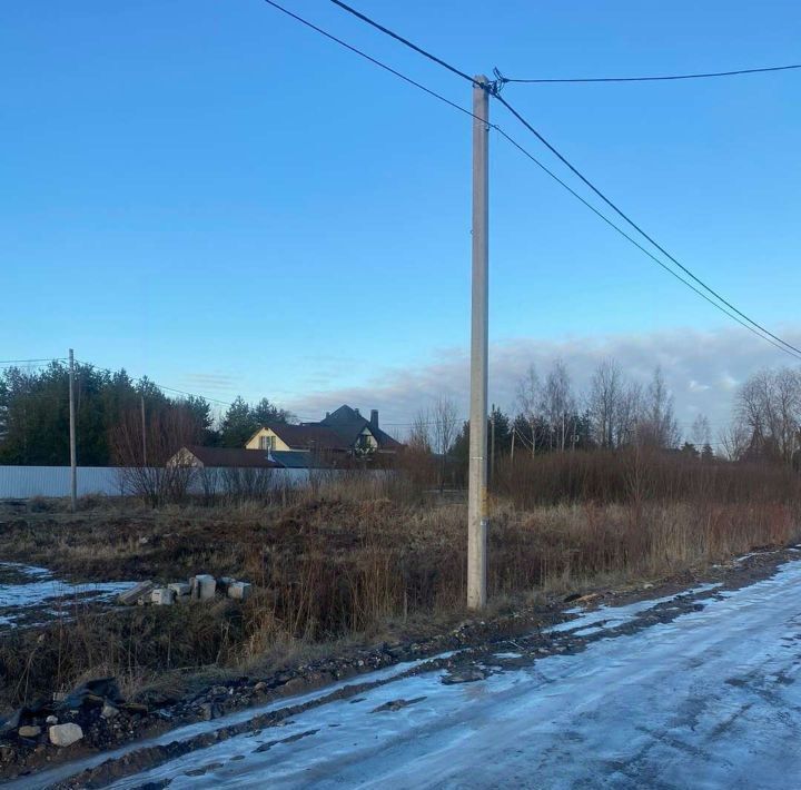 земля р-н Новгородский д Зарелье ул Антоновская Савинское с/пос фото 1