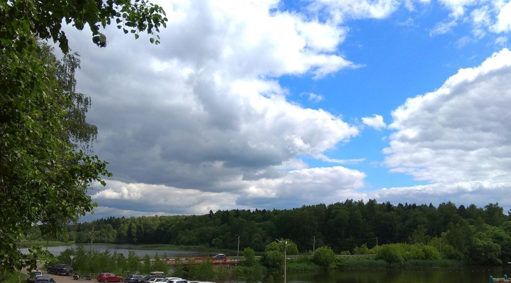 дом городской округ Пушкинский Весна парк кп, 95 фото 31