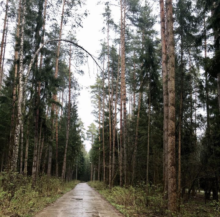 квартира городской округ Одинцовский д Лапино Новое Лапино кп, Одинцово, 54к 3 фото 11